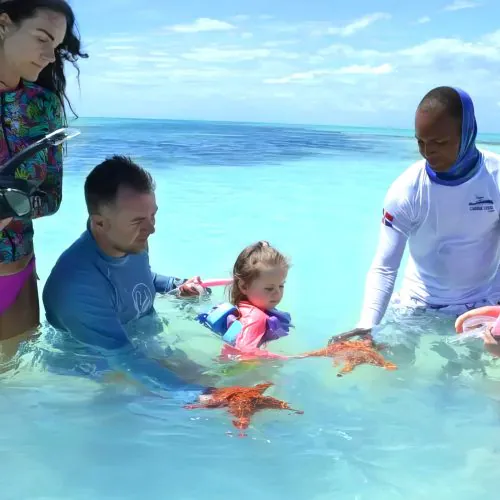 enjoy snorkeling on private isla saona and palmilla tour