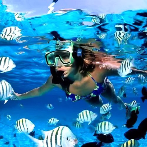 private catamaran for large group in punta cana