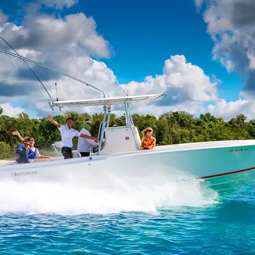 private isla saona and palmilla catamaran tour