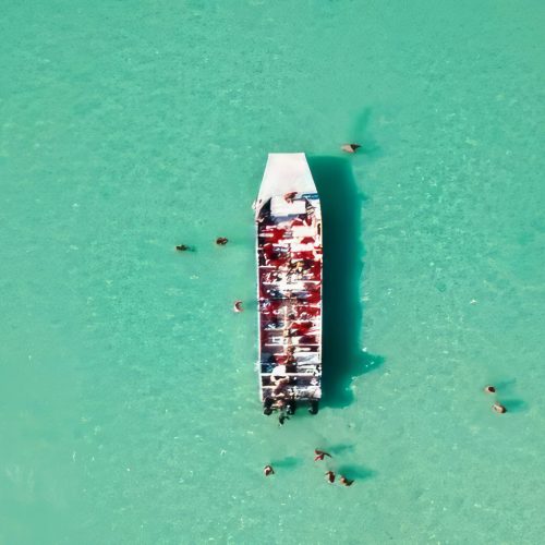 shared isla saona catamaran snorkeling tours