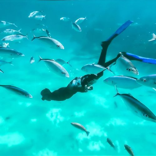 snorkeling on deluxe private catamaran punta cana