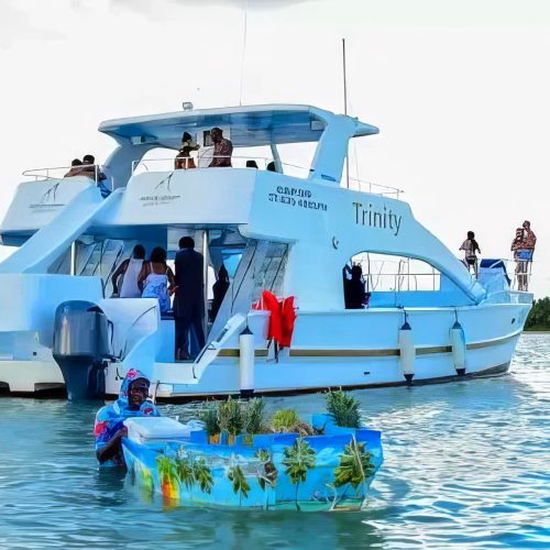 snorkeling on private catamaran for large group in punta cana tour