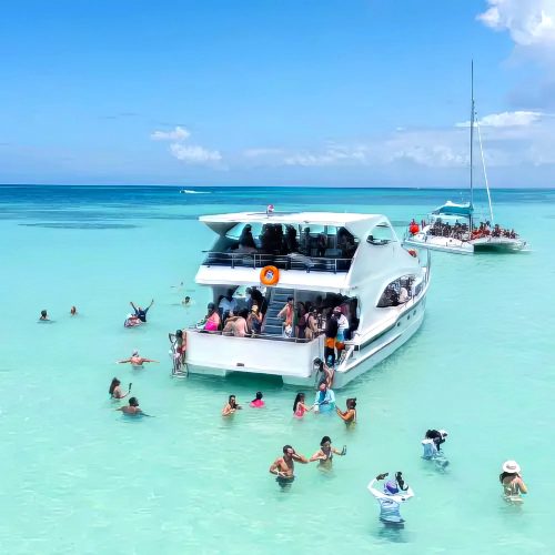 snorkeling tour with private isla saona catamaran