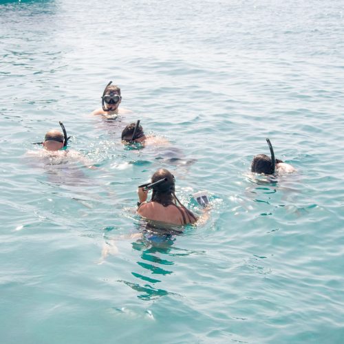 sosua-snorkeling-stop-puerto-plata-catamaran