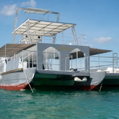 view 2 of our private mega punta cana catamaran